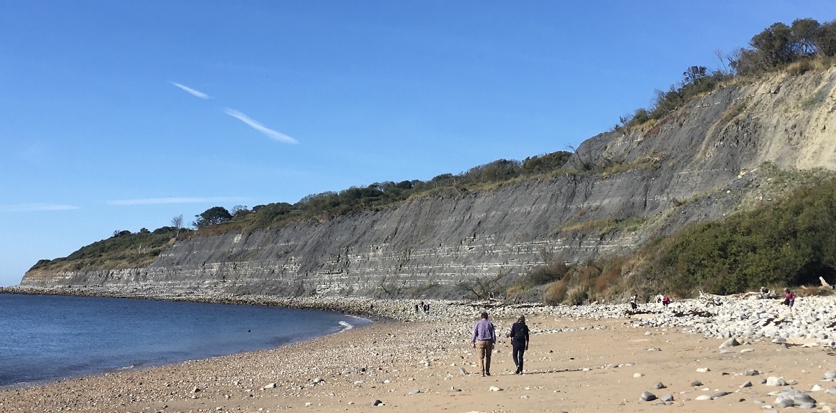 hilton project banner beach walk