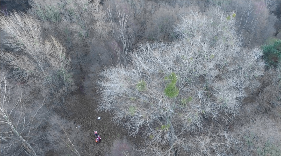 salguero case image