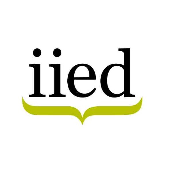 iied logo