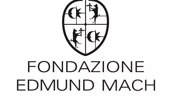 fem logo