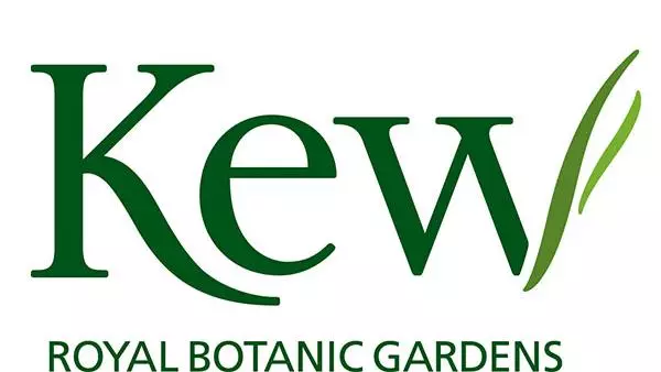 kew squarelogo