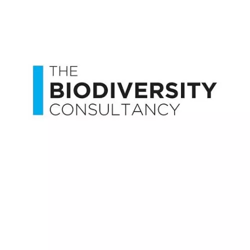 biodiv consult logo