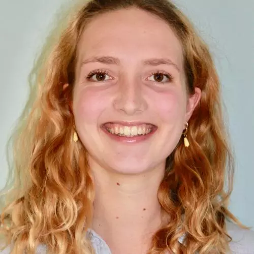 lilli freischem