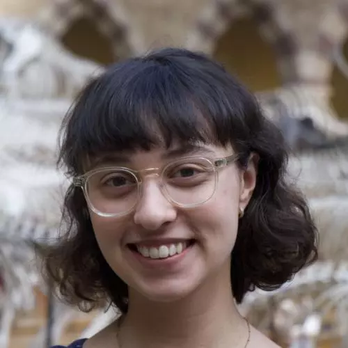 reyhan ermis